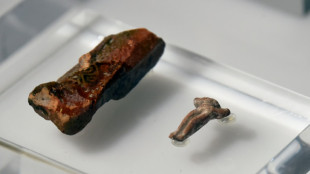 Le Mexique re&ccedil;oit 428 pi&egrave;ces arch&eacute;ologiques saisies par les Etats-Unis