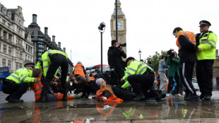A Londres, plus de 60 militants &eacute;cologistes arr&ecirc;t&eacute;s lors d'une marche contre les hydrocarbures
