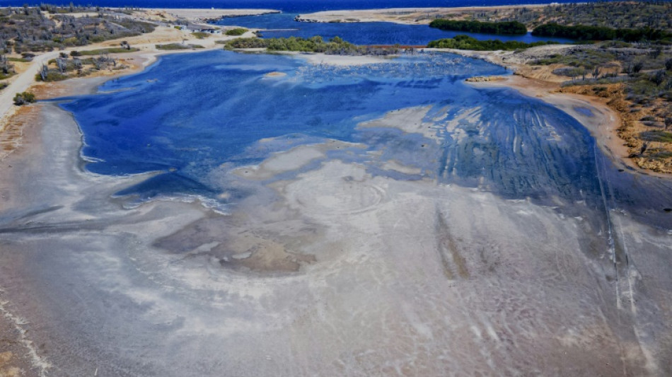 Jugement "historique" aux Pays-Bas, ordonn&eacute;s de mieux prot&eacute;ger une de leurs &icirc;les