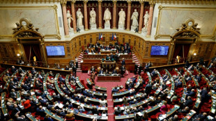 Chlord&eacute;cone aux Antilles: au S&eacute;nat, des d&eacute;bats sur l'indemnisation des victimes terminent dans l'indignation