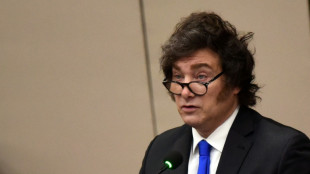 Milei atribui tempestade nos mercados financeiros a 'pânico político' na Argentina