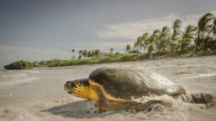 L&iacute;deres mundiales se re&uacute;nen en Niza para abordar las amenazas sobre los oc&eacute;anos