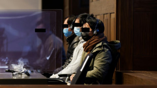 Condenan en B&eacute;lgica a 15 a&ntilde;os al acusado en el caso del cami&oacute;n con migrantes clandestinos muertos