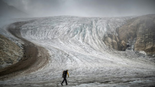 Swiss glaciers facing drastic loss from heatwave: expert