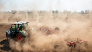 J&auml;ger schie&szlig;t in Mecklenburg-Vorpommern versehentlich auf Maish&auml;cksler