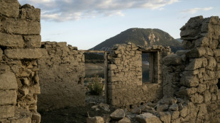 Grecia anuncia un plan de 2.900 millones de d&oacute;lares para enfrentar la escasez de agua