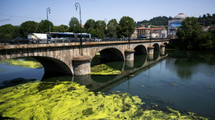 Algae fed by farm waste carpet Italy's warm River Po