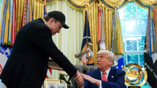 Musk vows to stay Trump's 'friend' in bizarre black-eyed farewell