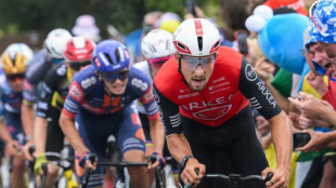 Tour de France: face aux g&eacute;ants, les ambitions d&eacute;complex&eacute;es des puncheurs fran&ccedil;ais