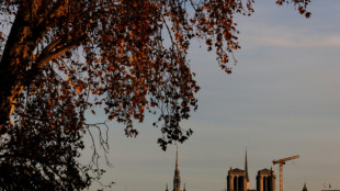 Estrelas da m&uacute;sica cl&aacute;ssica marcar&atilde;o presen&ccedil;a no concerto de reabertura da Notre-Dame de Paris