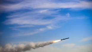 Usa, 'colpita nave da guerra iraniana nel golfo di Oman, sta affondando'