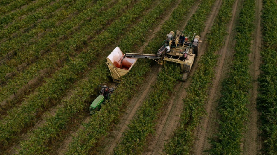 El sector privado cre&oacute; m&aacute;s empleos de lo esperado en octubre en EEUU