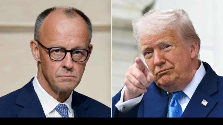 Mission délicate de Merz à Washington, en quête d'une bonne entente avec Trump