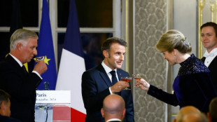 "Alli&eacute;s" et "amis" : le couple royal de Belgique en visite d'Etat en France