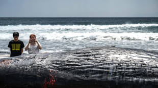 Japan lifts tsunami advisory after Russia quake