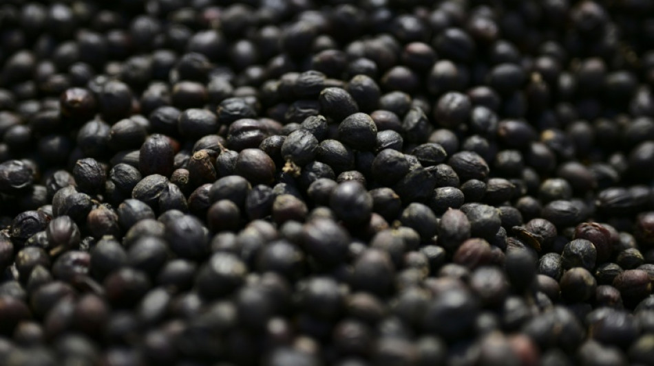 Bundesgerichtshof urteilt &uuml;ber Kaffeewerbung mit reduziertem Preis