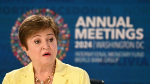 FMI não espera uma recessão este ano, apesar das tarifas