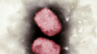 Mit Affenpocken Infizierte sollen f&uuml;r 21 Tage in Isolation