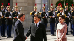 Thailand denies viral claim Macron knelt before king