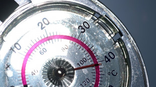 Klimaerw&auml;rmung in Deutschland: Steigende Temperaturen vor allem in S&uuml;den und Osten