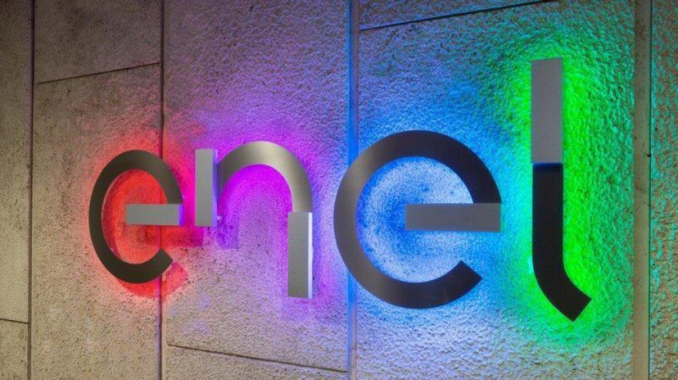 Via libera dai soci Enel a conti 2024, dividendo e buy back