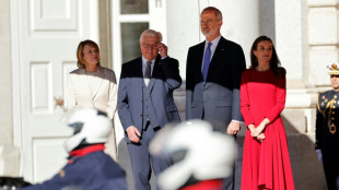 Prächtiger Empfang: Steinmeier zu Staatsbesuch in Spanien - Bundespräsident am Freitag in Guernica