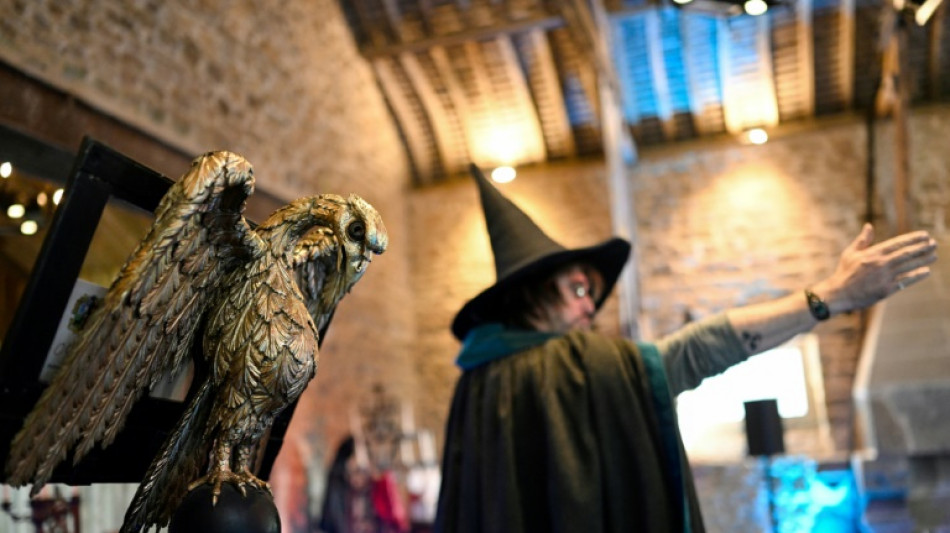 Au ch&acirc;teau du Rocher Portail, un Poudlard breton qui ne dit pas son nom