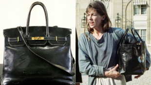 Le premier sac Birkin mis aux enchères à Paris