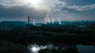 Las emisiones de CO2 del sector energ&eacute;tico alcanzaron un r&eacute;cord en 2022, seg&uacute;n un estudio