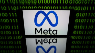 Meta ferme des comptes d'influenceurs soup&ccedil;onn&eacute;s d'abus 