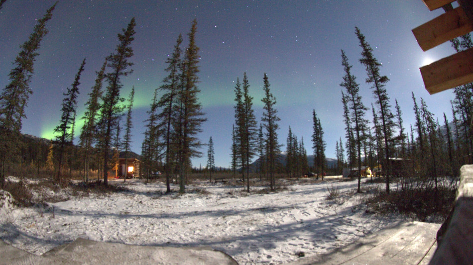 L'Antartide diventa sempre pi&ugrave; verde, di 10 volte in 40 anni