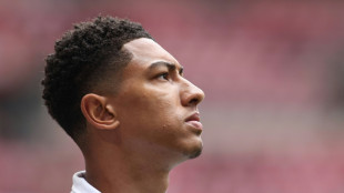 Jobe kommt: BVB vor Bellingham-Verpflichtung