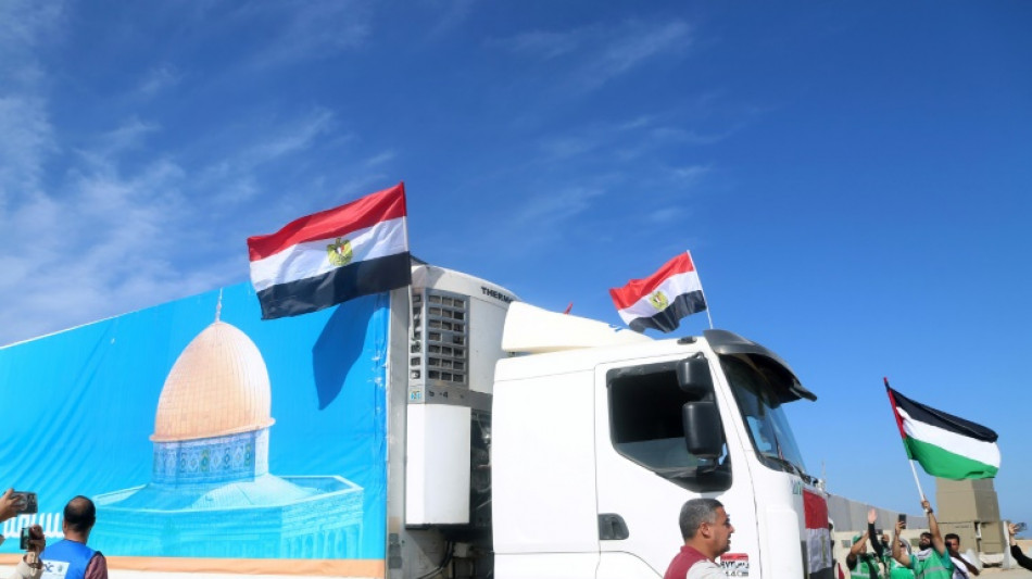 Un premier convoi d'aide entre &agrave; Gaza, appels &agrave; "un cessez-le-feu" lors d'un sommet "pour la paix" 