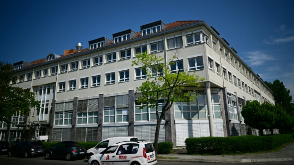 Los servicios de inteligencia de Alemania califican a AfD de partido "extremista de derecha"