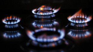 Il gas apre in rialzo (+1,1%) sul mercato di Amsterdam