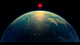 Doutes sur la détection de possibles "indices" de vie extraterrestre