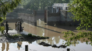 Al menos 65 muertos en cuatro d&iacute;as de lluvias torrenciales en Pakist&aacute;n