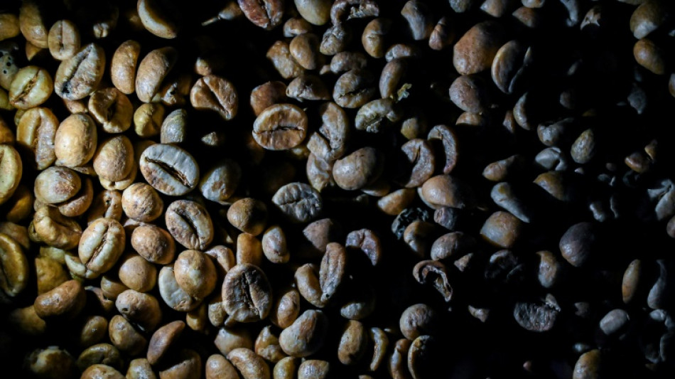 Schlechte Ernte bef&uuml;rchtet: Kaffeepreis steigt auf h&ouml;chsten Wert seit 1977