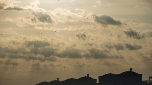 Programmation de l'&eacute;nergie: l'Assembl&eacute;e n'entend pas &ecirc;tre court-circuit&eacute;e