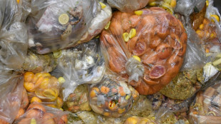 La UE aprueba una normativa contra el desperdicio alimentario y la moda r&aacute;pida