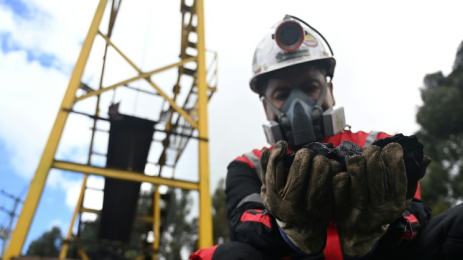 Colombia coal exports plummet after ban on Israel sales