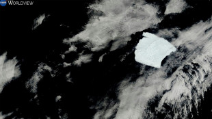 Un fragmento de 19 km de largo se desprende del iceberg m&aacute;s grande del mundo
