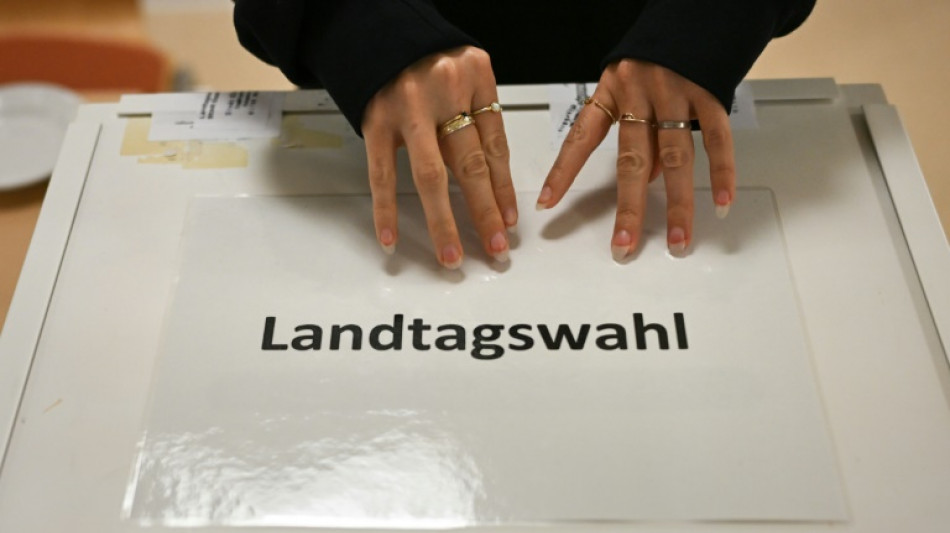 Linke in Rheinland-Pfalz w&auml;hlt Landesvorsitzende Ruppert zu Spitzenkandidatin