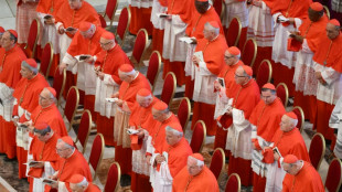 Asked to predict the next pope, AI bots hedge bets