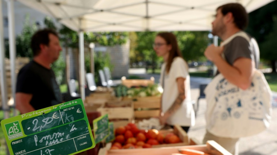 UE reduz previs&atilde;o de crescimento para 2023 e eleva proje&ccedil;&atilde;o de infla&ccedil;&atilde;o para 2024