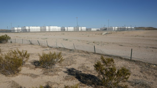 US migrant raids spark boom for private detention providers