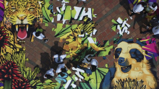 Greenpeace se&ntilde;ala al cambio clim&aacute;tico y la p&eacute;rdida de biodiversidad como dos crisis "interrelacionadas"