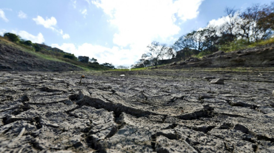 Honduras declara alerta en 64 municipios amenazados por sequ&iacute;a