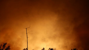 Wildfires ravage parts of southern France, Italy and Spain
