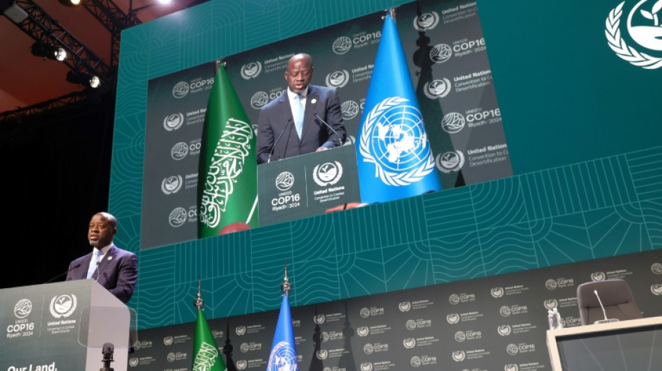 La COP16 de la ONU sobre desertificaci&oacute;n empieza en Arabia Saudita